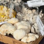 A variety of gourmet mushrooms, including Lion's Mane, displayed in a rustic wooden crate.